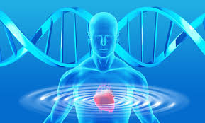 El ADN y coherencia